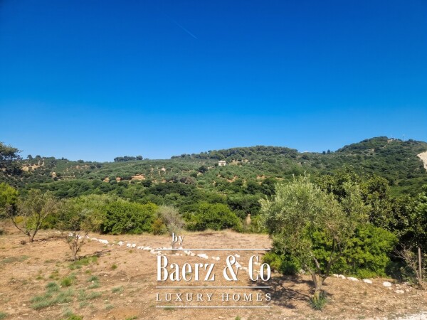 photo 29 Dafni Beach 
