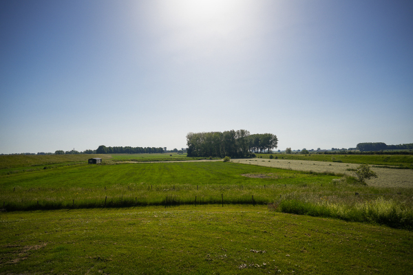 photo 96 Maasdijk 12