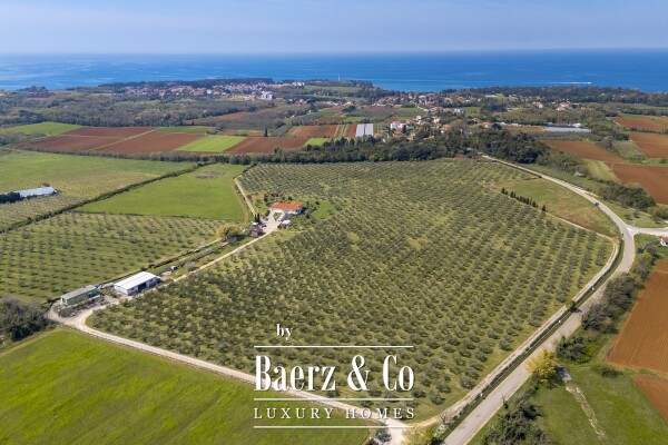 photo 9 Exclusive 12-Ha Olive Estate with Sea Views and Premium Golf Lifestyle in Savudrija, Istria