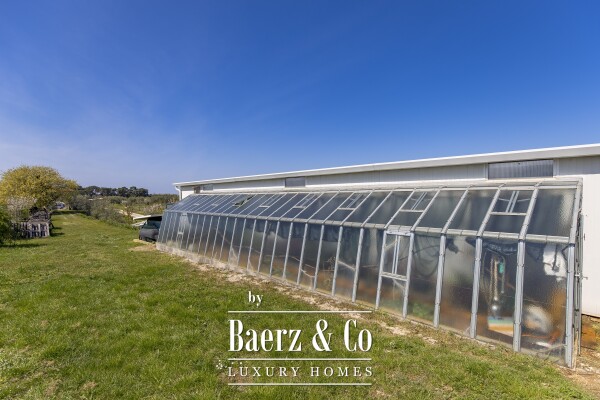 photo 23 Exclusive 12-Ha Olive Estate with Sea Views and Premium Golf Lifestyle in Savudrija, Istria