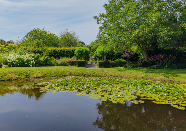 photo 67 Wasbeeklaan 37
