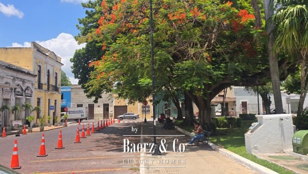 photo 1 Calle 50A 493A