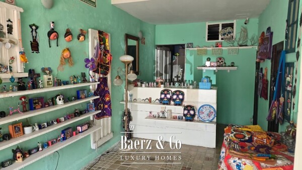 photo 10 Calle 50A 493A
