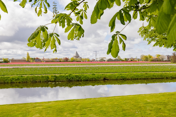 photo 69 Heereweg 421 A