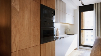 Efficient penthouse with private terrace and open city views