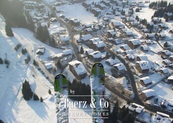 Morgins