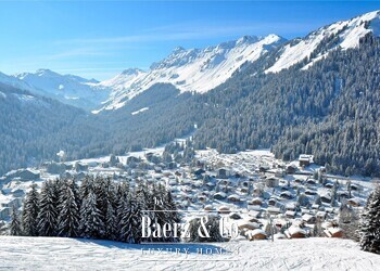 Morgins