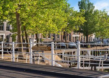 HARLINGEN