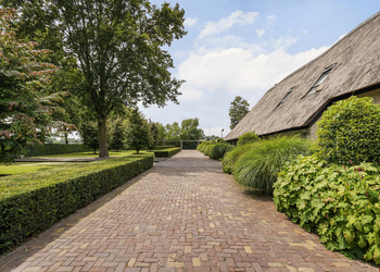 DONGEN