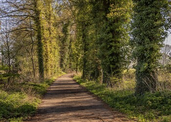 HAAKSBERGEN