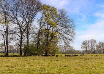 HAAKSBERGEN