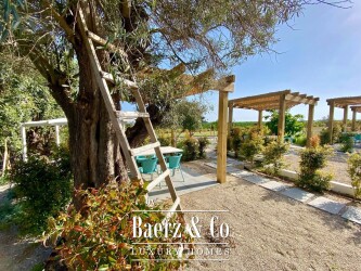 Tavira