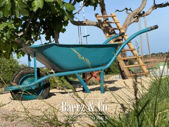 Tavira