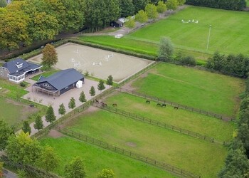 SCHIJNDEL
