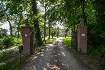 SINT NICOLAASGA