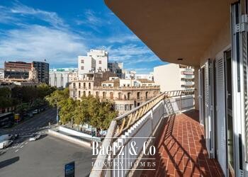 Palma