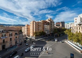 Palma