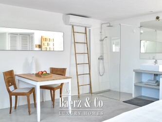Ibiza