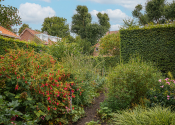 'S-HERTOGENBOSCH