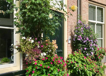 'S-HERTOGENBOSCH