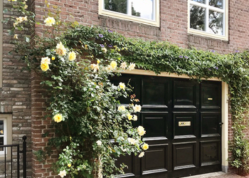 'S-HERTOGENBOSCH