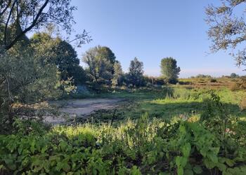KEKERDOM
