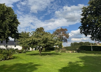 BEMELEN