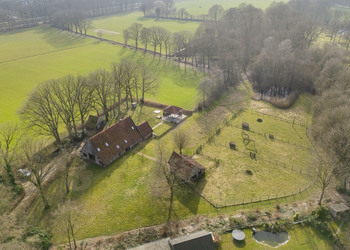 DENEKAMP