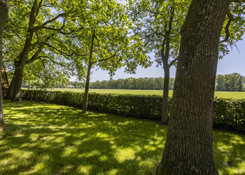 DENEKAMP