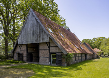 DENEKAMP