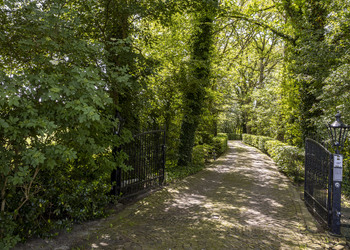 DENEKAMP