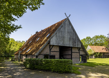 DENEKAMP