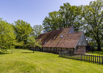 DENEKAMP