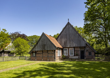 DENEKAMP
