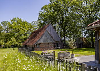 DENEKAMP