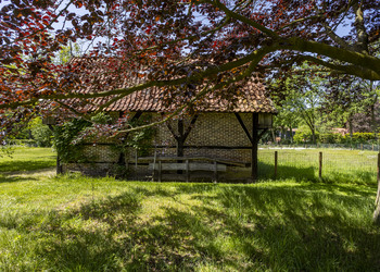 DENEKAMP