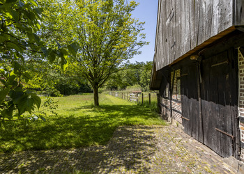 DENEKAMP