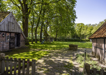 DENEKAMP