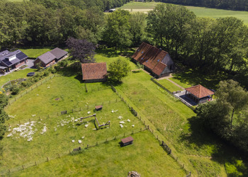 DENEKAMP