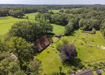 DENEKAMP