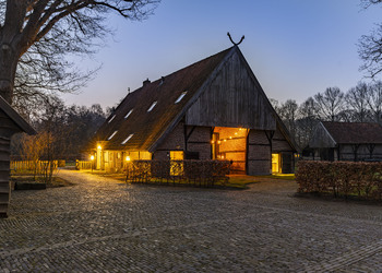 DENEKAMP