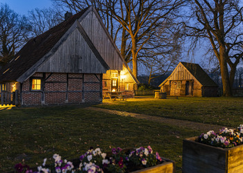 DENEKAMP