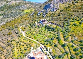 Karathona