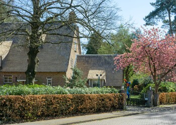 BREDA