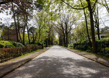 BREDA