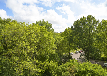 'S-GRAVENHAGE