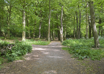 'S-GRAVENHAGE