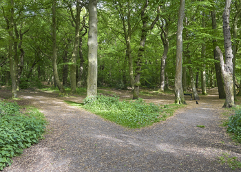 'S-GRAVENHAGE