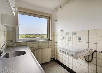 LANDSMEER