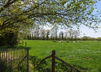 HENGELO
